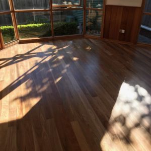 Solid Spotted gum 85 3