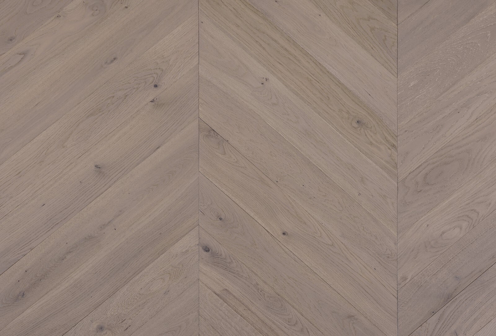 C05 Soft Pale Oak